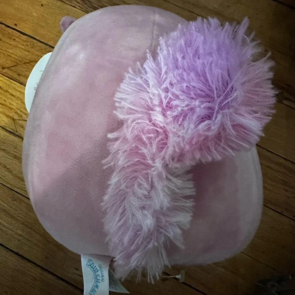 NWT Allina the Squirrel Squishmallow